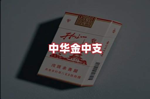 中华金中支